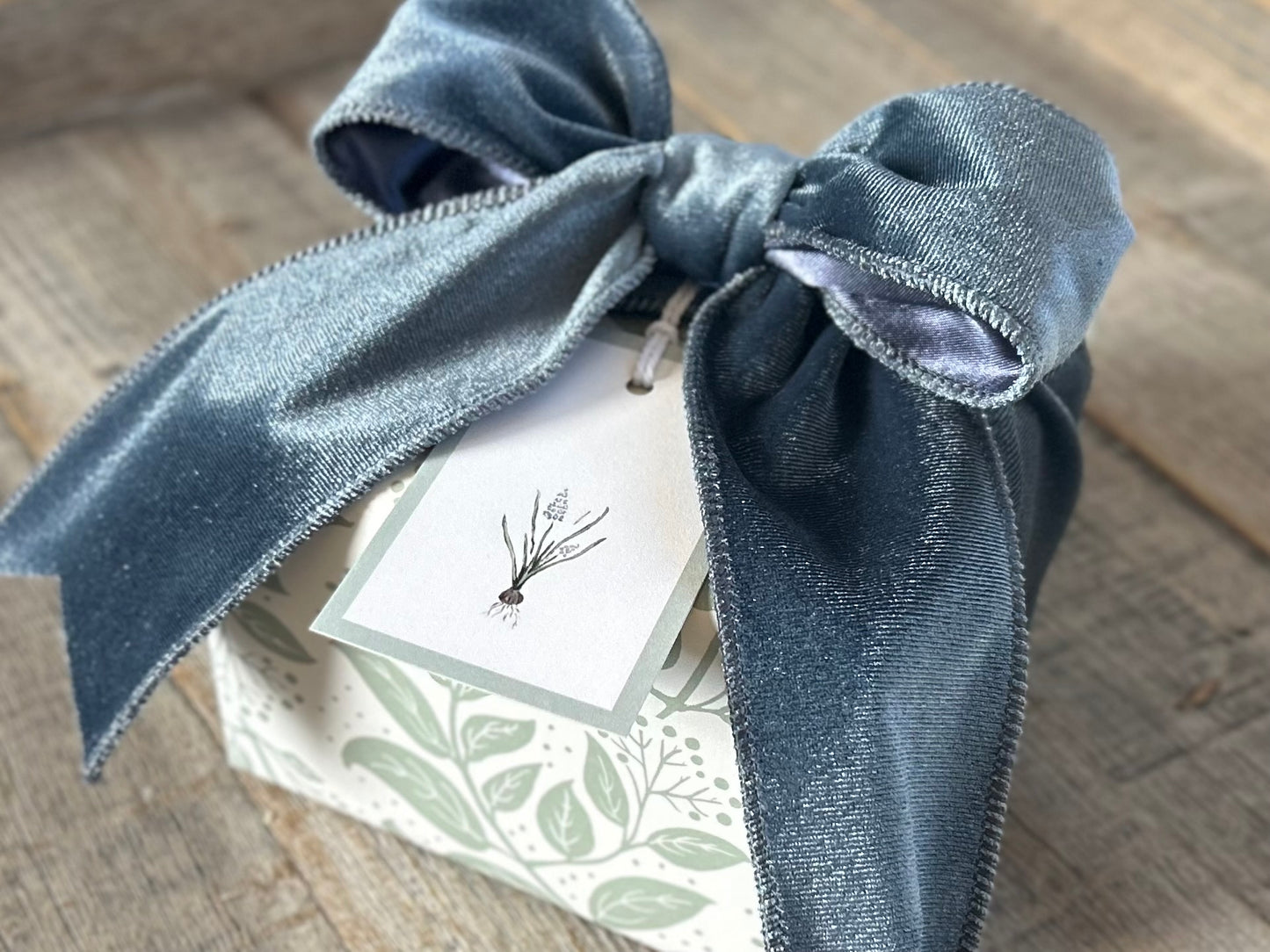 Muscari gift wrapping, Kendrick Homestead