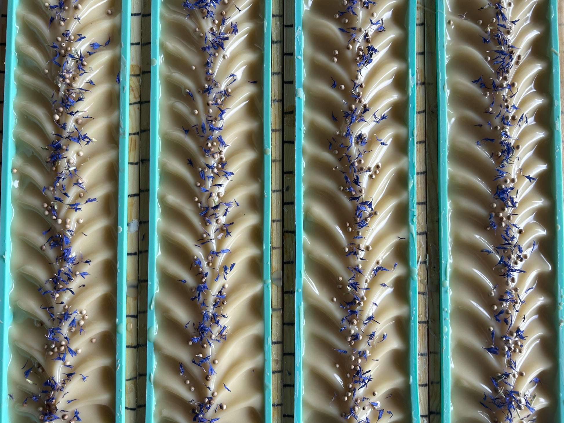 Seaside soap is made with coconut milk, olive oil, coconut oil, cocoa butter, avocado oil and castor oil with a relaxing smell of eucalyptus and spearmint essential oils. It is sprinkled with blue corn flowers and white peppercorns. Naturally colored with white kaolin clay and indigo powder. Kendrick Homestead.