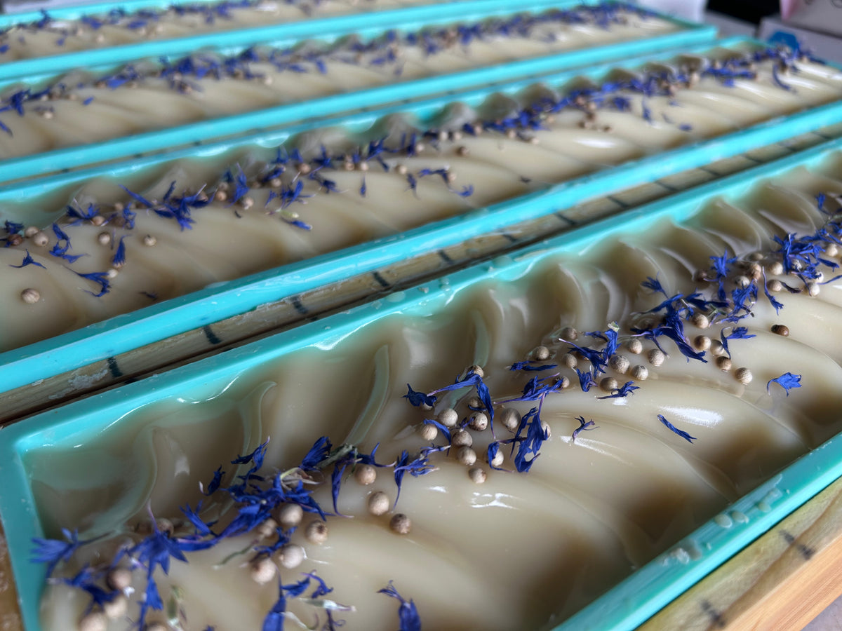 Seaside soap is made with coconut milk, olive oil, coconut oil, cocoa butter, avocado oil and castor oil with a relaxing smell of eucalyptus and spearmint essential oils. It is sprinkled with blue corn flowers and white peppercorns. Naturally colored with white kaolin clay and indigo powder. Kendrick Homestead.