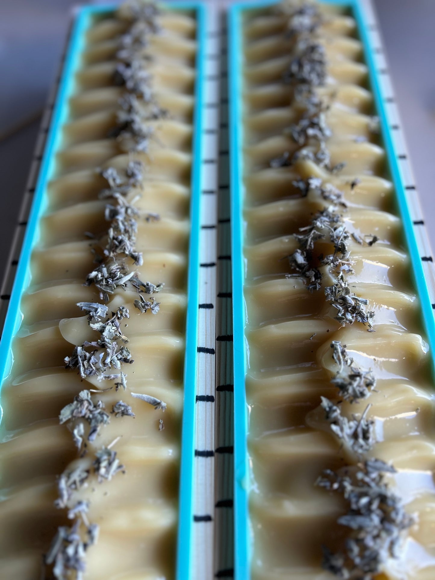 LAVENDER & WHITE SAGE goat's milk soap